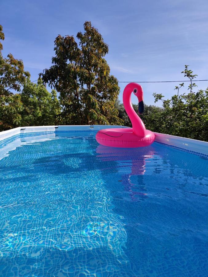 Casa Azul-Tiny House With Fantastic View, Big Outdoor Space And Pool Silves Exterior photo